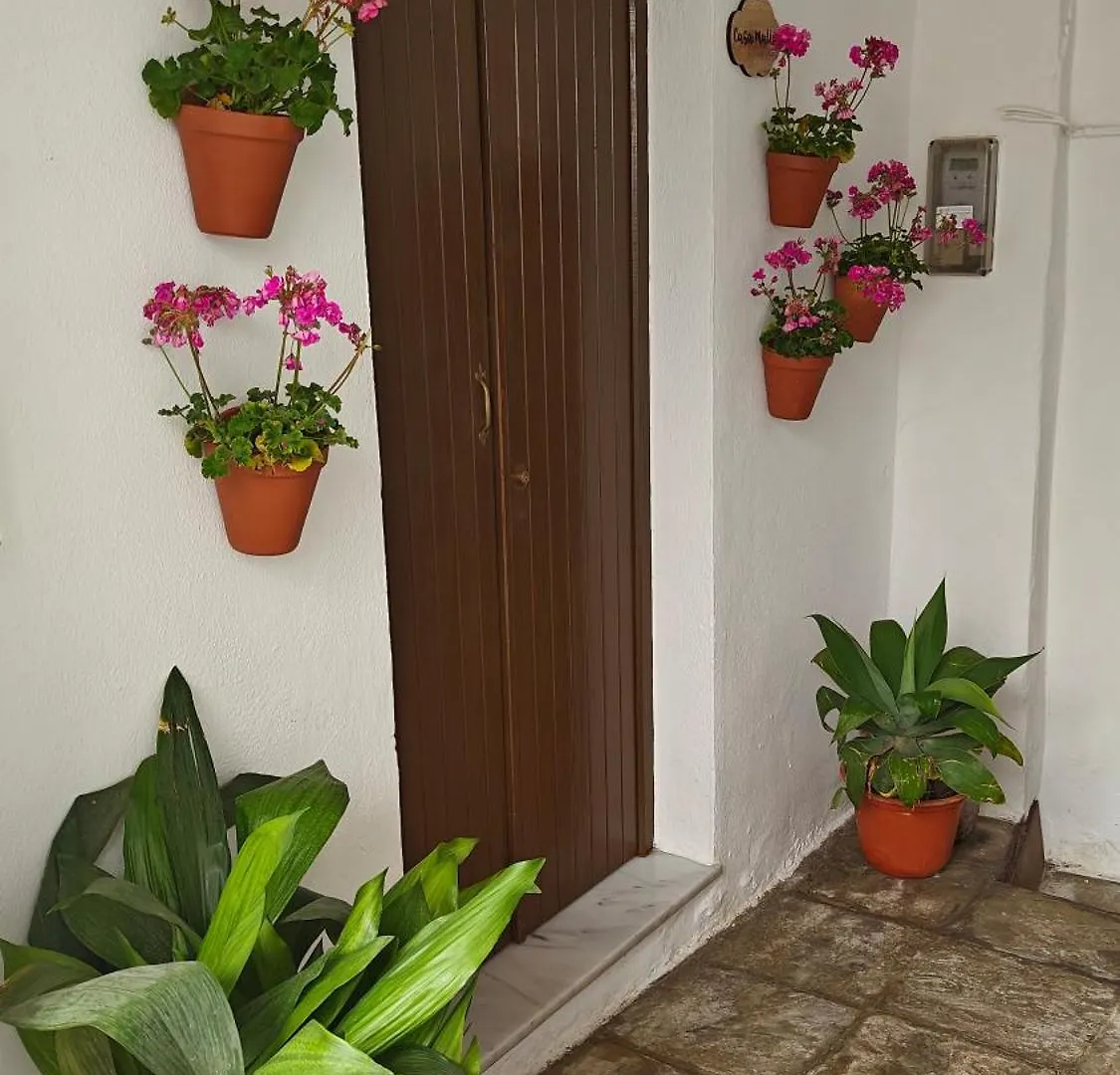 Apartment Casa Malia Apartamento Recien Reformado En Centro Vejer de la Frontera